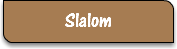 Slalom