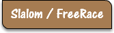 Slalom / FreeRace